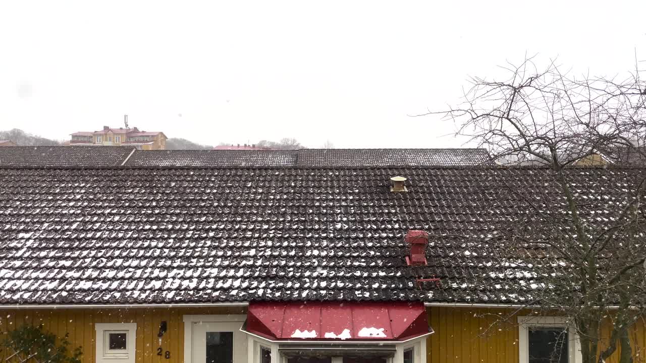 스웨덴 겨울 교외에 눈이 내림