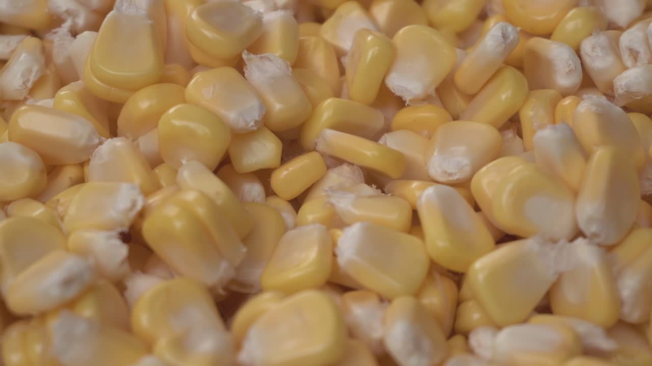 Majs er blevet en basisfødevare i mange dele af verden