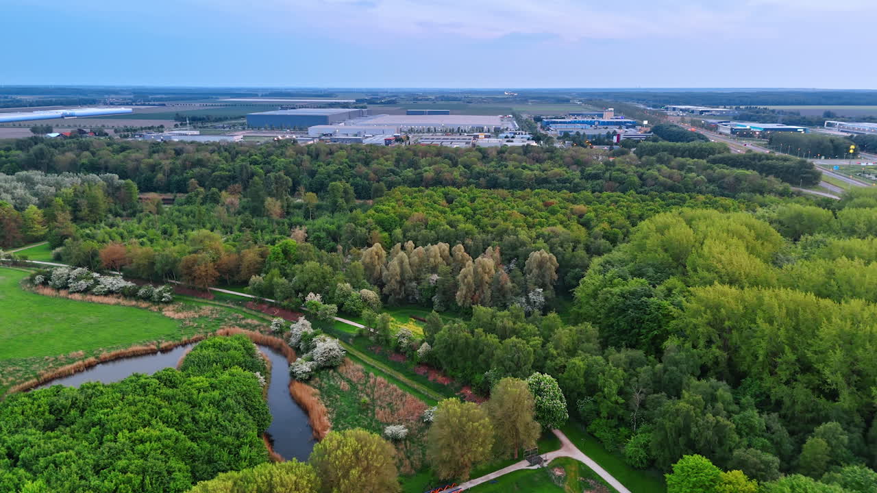 Urban greenery exploration. Aerial view showcasing vibrant trees, a serene pond, and an urban area in the distance during a clear afternoon