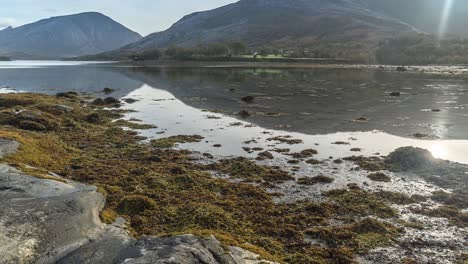 Die-Steigende-Flut-Bedeckt-Den-Sandigen-Fjordboden-Mit-Seegras-Und-Kelp