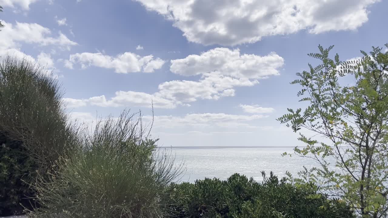 A breathtaking view of the blue ocean under a partly cloudy sky, framed by lush green foliage and distant trees