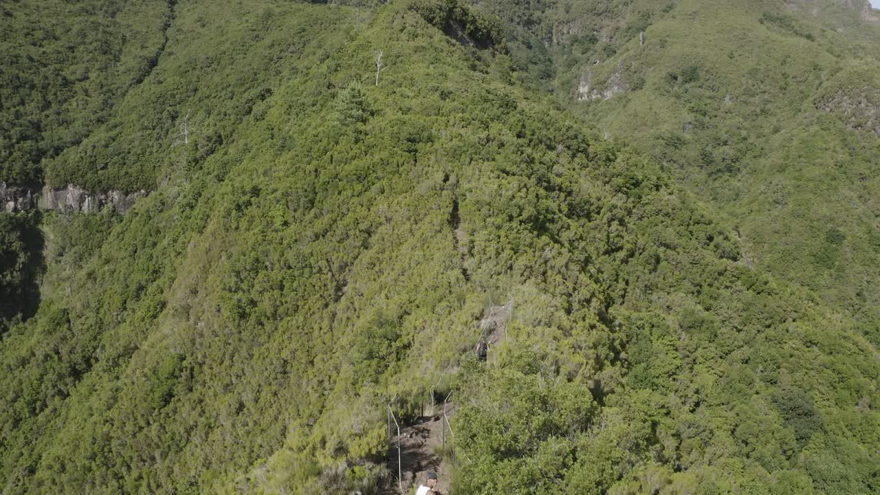toma de drone del paisaje en caminho do pinaculo e foldhadal en madeira y su exuberante vegetación