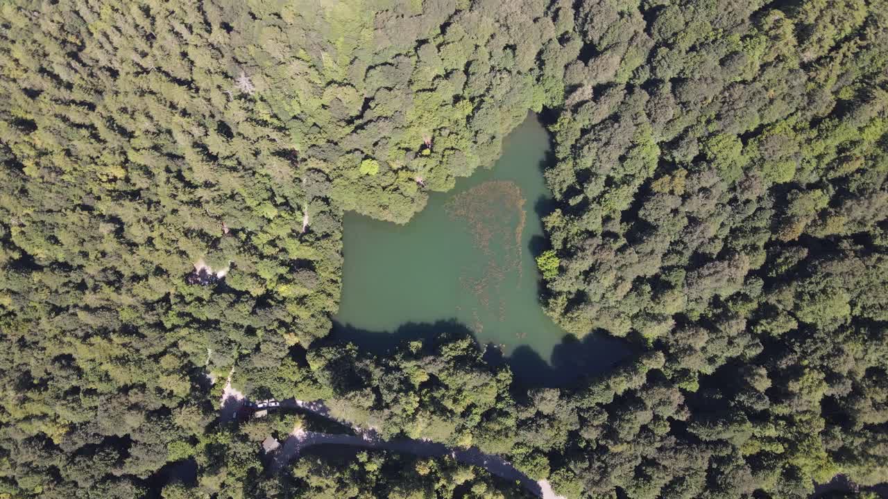 Dron Aéreo: Lago Natural y Bosque