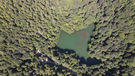 aéreo drone natural lago bosque
