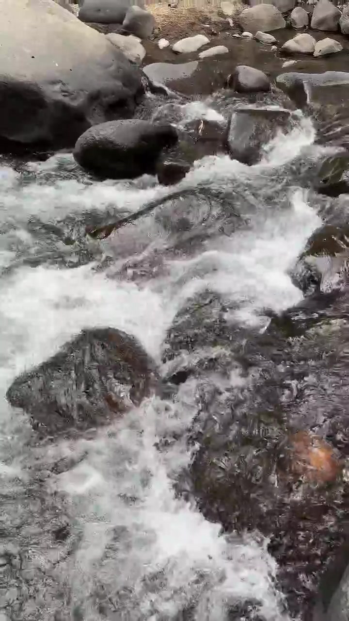 Acqua limpida che scorre sulle rocce in un ruscello di montagna