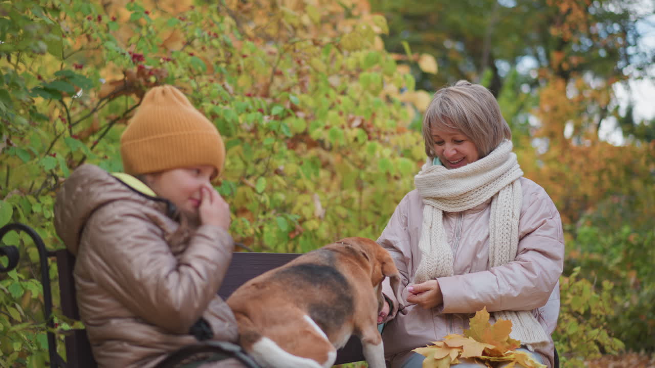 Young girl and older woman sit on bench gently playing with affectionate beagle, girl pressing her cheek close while woman smiles warmly holding dog paw, surrounded by fallen leaves