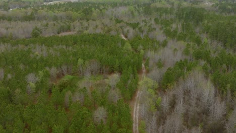 Abandoned-dirt-road-to-nowhere