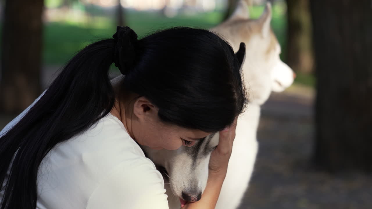 개를 가진 반려동물 소유자