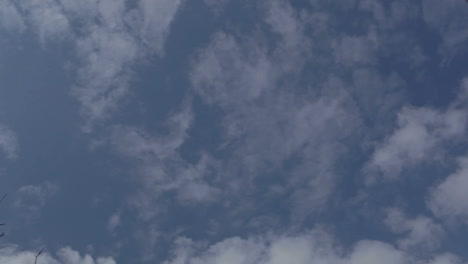 airplanes
