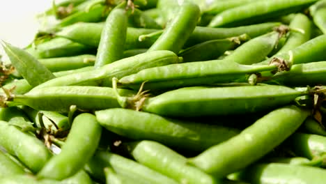 fresh green polka dot pods rotation close up fresh green polka dot pods rotation close up motion loop loop motion