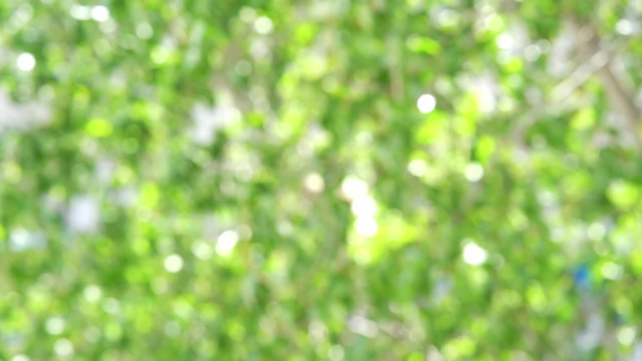 다채로운 보케 배경, 비즈니스 흐릿한 벽지, 추상적인 부드러운 질감