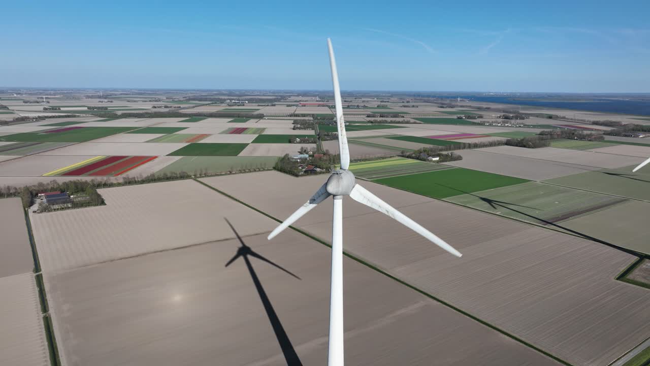 wind turbines, along the bulb flower fields, spring in the Netherlands. renewable energy. Aerial view.