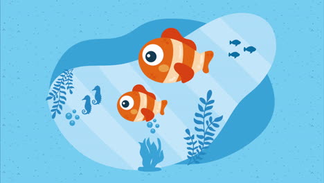 cute clown fish sealife animation