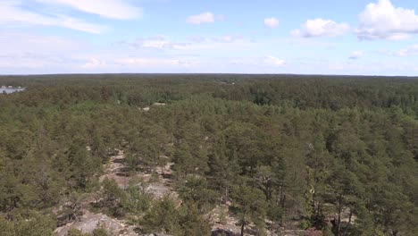 Fertige-Landschaft-Mit-Borealen-Nadelbäumen.