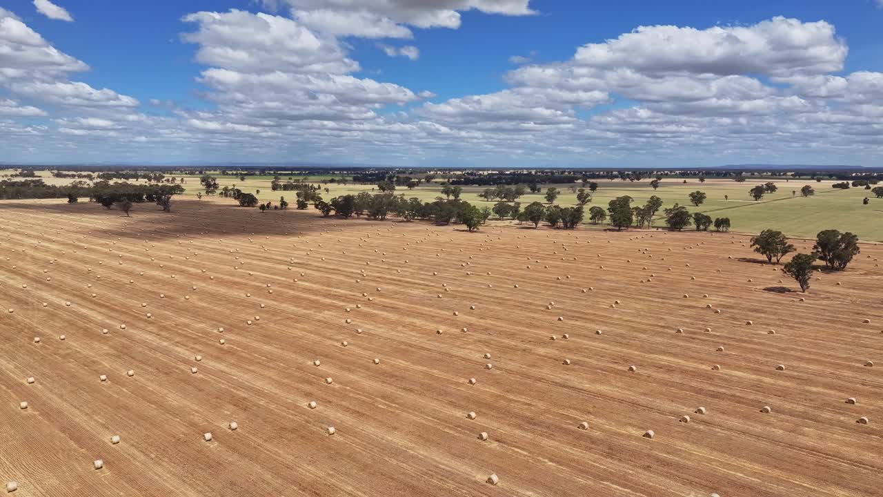 Aerial showing repetitive bale patterns across golden open paddocks