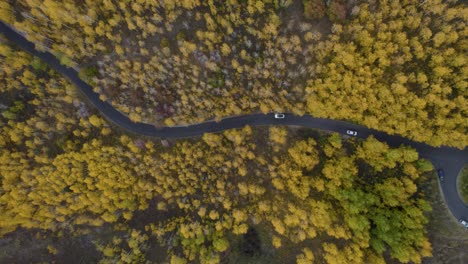 Colorida-Temporada-De-Otoño-En-Utah---álamos-Amarillos-Al-Costado-Del-Circuito-Escénico-Alpino,-Vista-Aérea-Superior