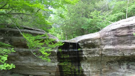 rocky valley surrounded by colorful dense forest, dolly backward