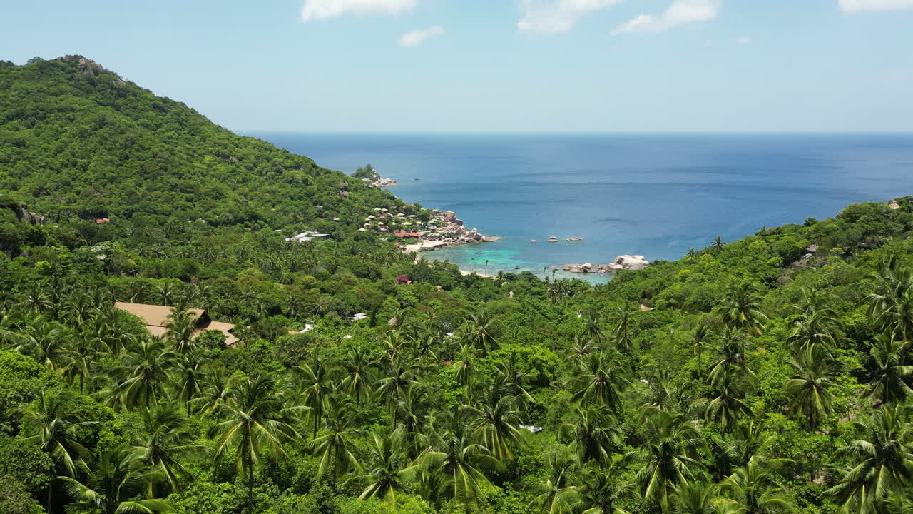 exuberantes palmeras verdes con vistas al mar azul en la isla de koh tao en tailandia