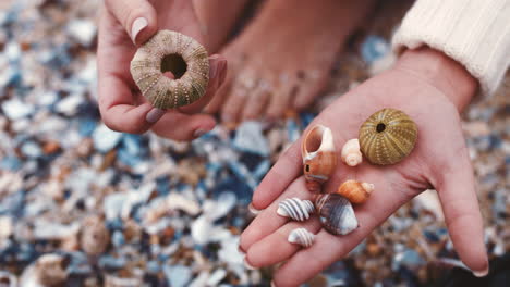 Sea-shells,-beach-and-travel-with-a-woman