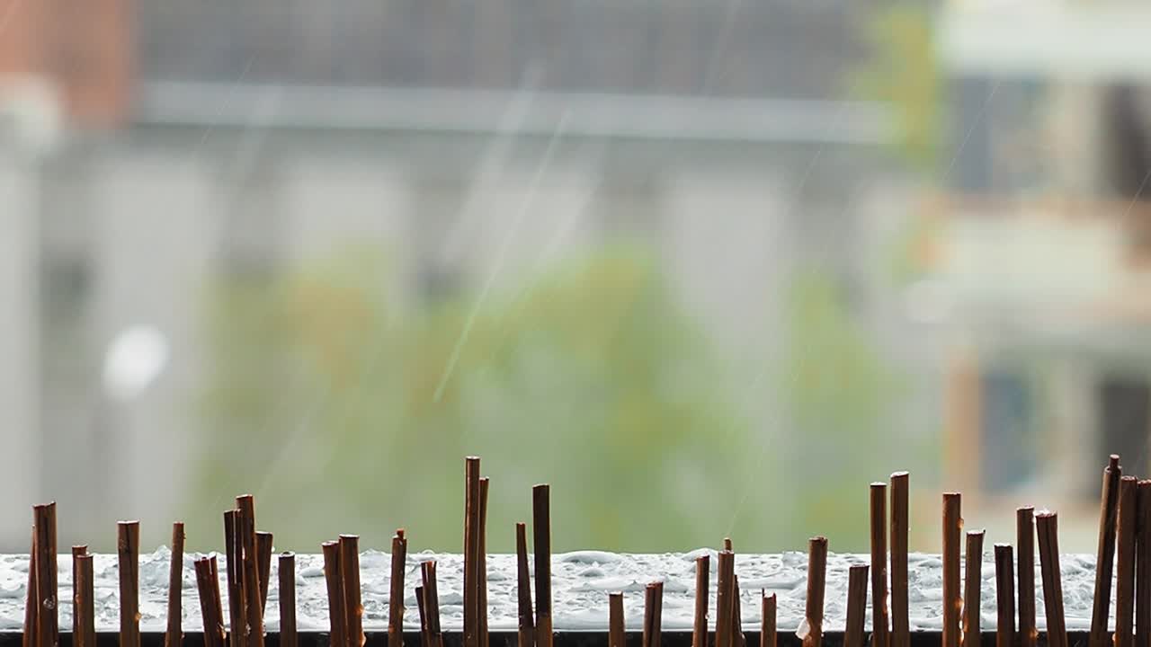 도시에서 비가 오는 날