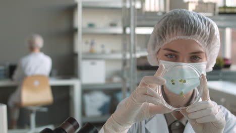 scientist examining plant growth in laboratory