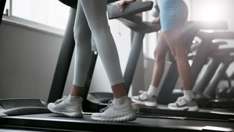 people working out on treadmills in a gym