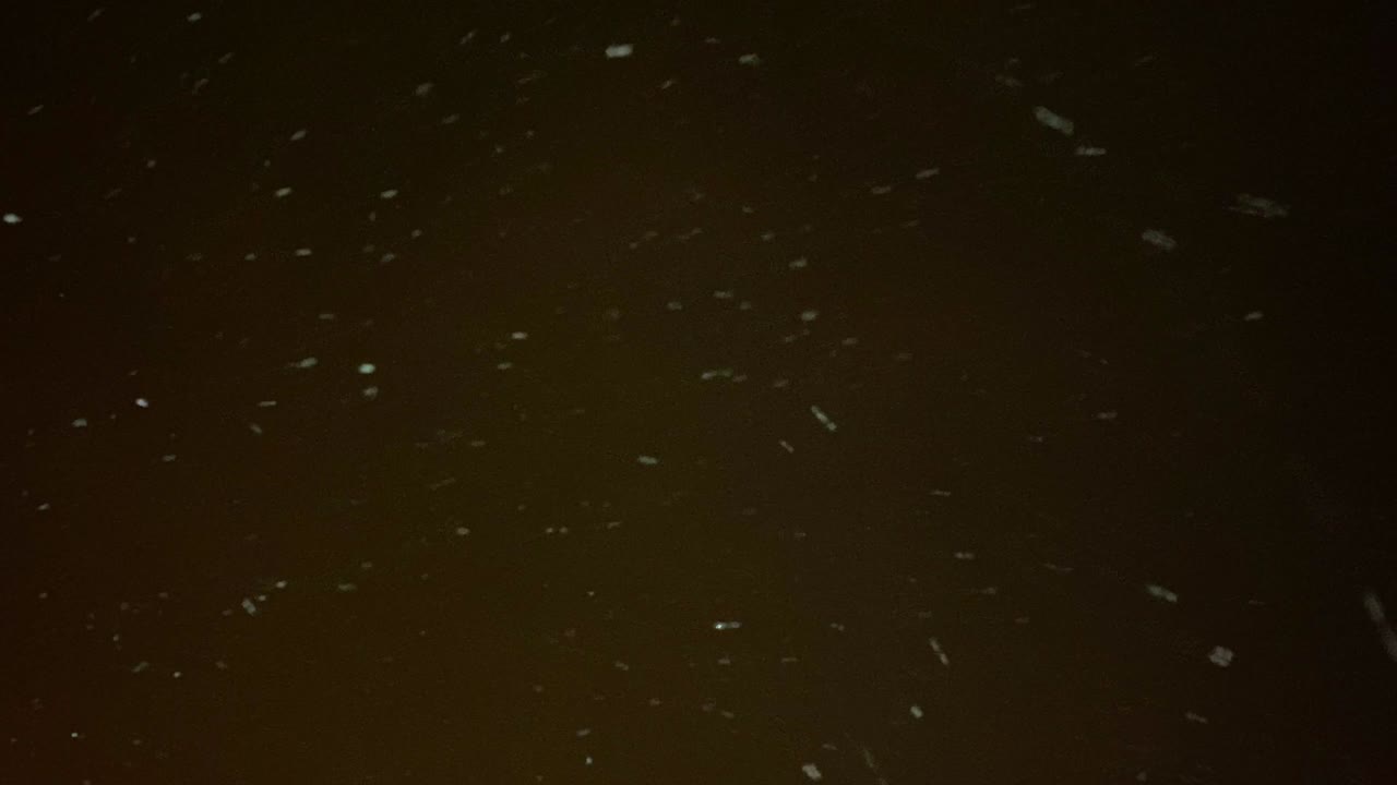 밤의 어두운 하늘을 배경으로 큰  눈송이가 날아갑니다.