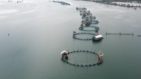 fisheries on luzon island, philippines. fish farm, top view