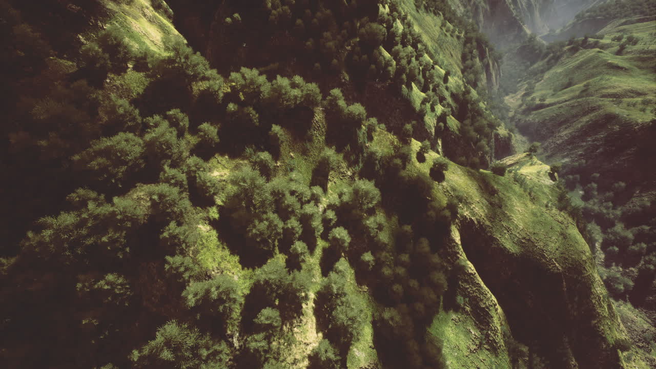 Lush green hills with scattered trees under bright sunlight in remote valley