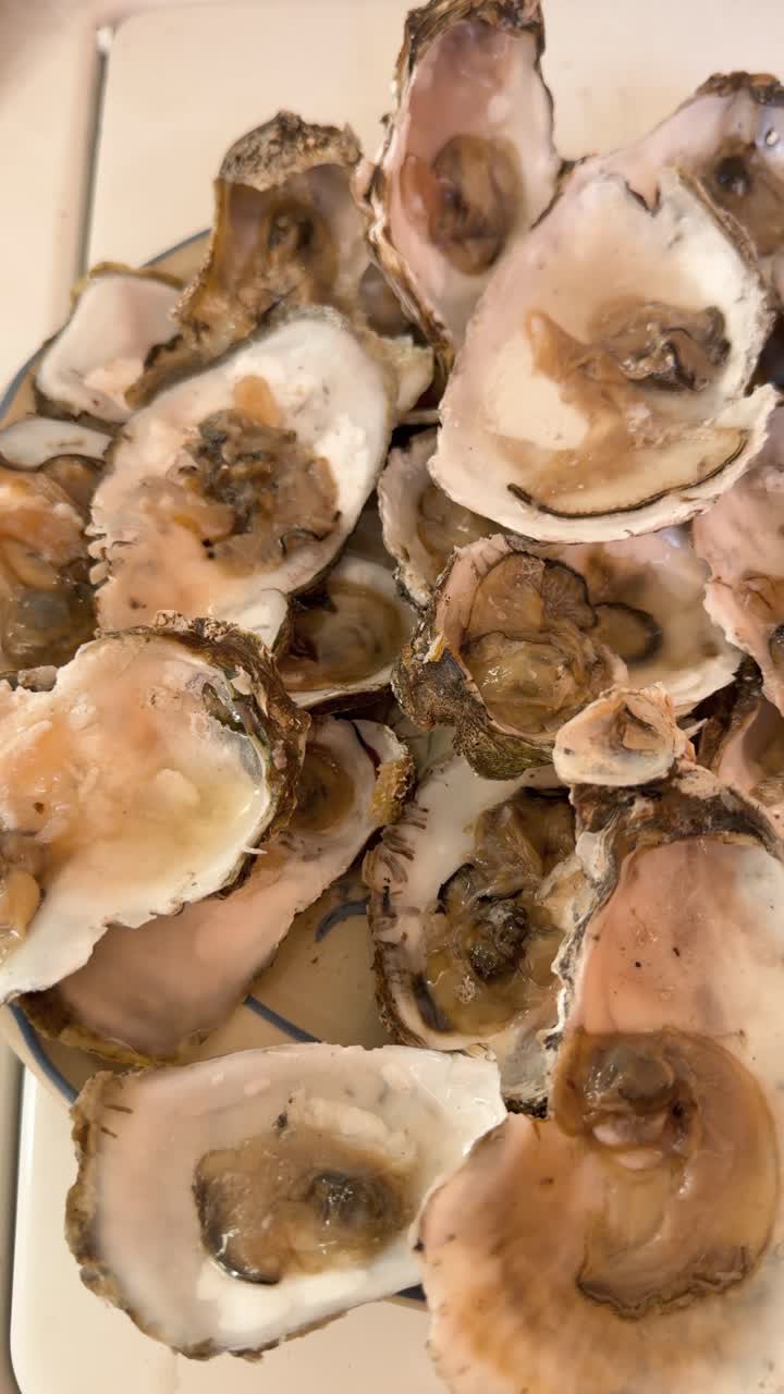 Close up of fresh raw shucked oysters on half shell served on plate. Ideal for seafood restaurant menus and luxury dining content