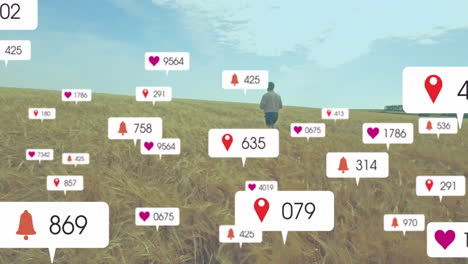 man standing in wheat field, analyzing marketing metrics with floating notification icons