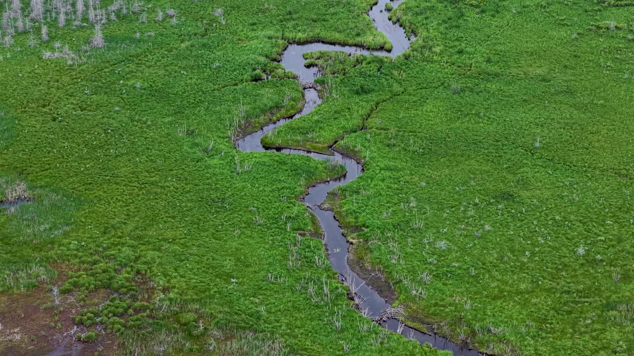 Aerial drone view of a winding stream cutting through lush green wetlands in Michigan’s Upper Peninsula