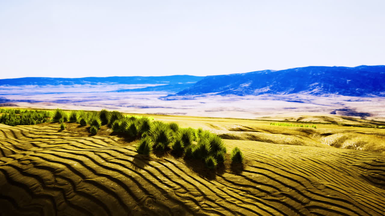 Vibrant golden fields with undulating terraces under a serene blue sky