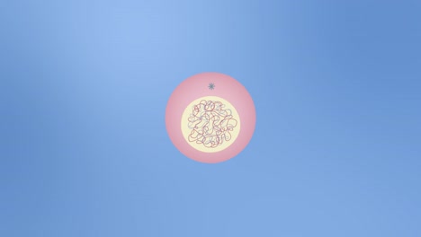 animation illustrating mitosis stages with clear transitions, vibrant colors, and smooth movement, highlighting cellular division intricacies
