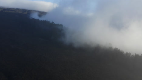 Weiße-Wolken-Ziehen-über-Den-Wald-An-Den-Hängen-Des-Vulkans-Haleakala-Auf-Maui