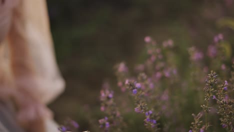 a woman with curly hair observes the beauty of a lavender field in bloom, close up