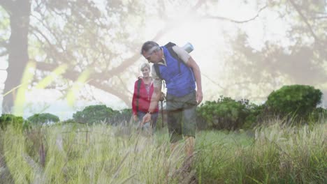 Happy-caucasian-senior-couple-hiking,-stopping-to-touch-plants,-over-trees-and-sunlight