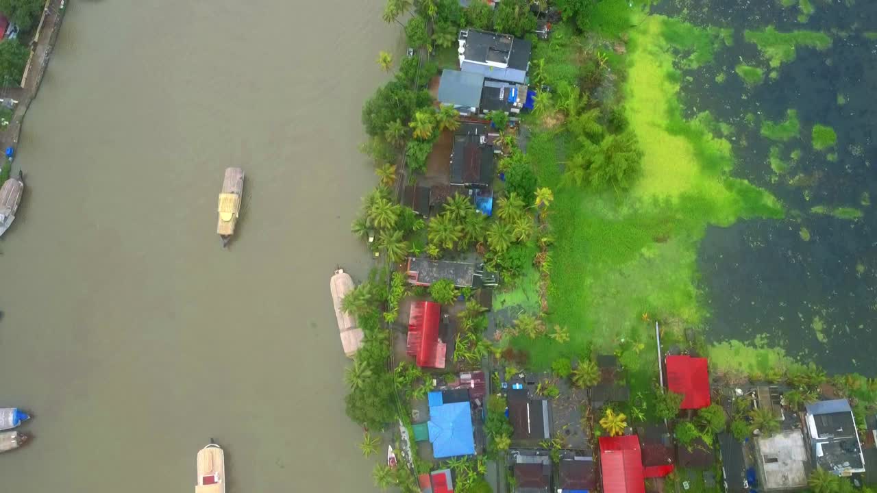 Aerial top-down view tracking over Kerala backwaters: colorful houses and houseboats border a canal, contrasting with a bright green algae-covered lagoon and palm trees