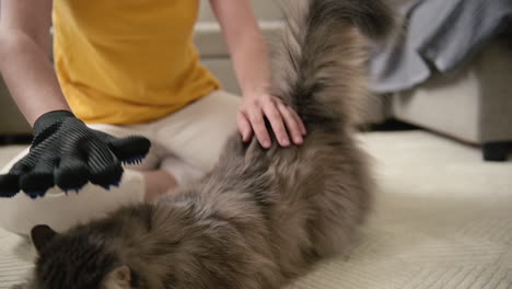 Woman-Sitting-On-Floor-And-Brushing-Her-Fluffy-Cat-With-Glove