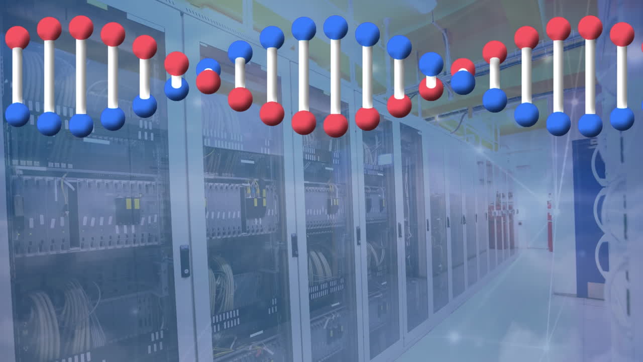 연결 네트워크의 애니메이션과 서버 에 대한 dna 스트랜드