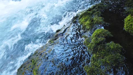 Green-moss-and-clear-water-of-the-upper-Rogue-River-in-Southern-Oregon