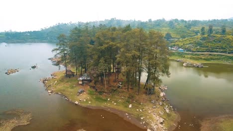 Lake with mountain and pine forest tea field