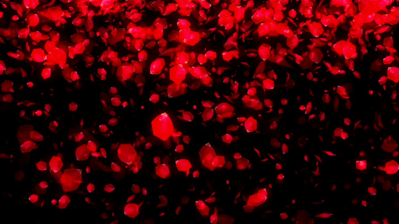 검은 바탕에 떨어지는 장미 잎자루