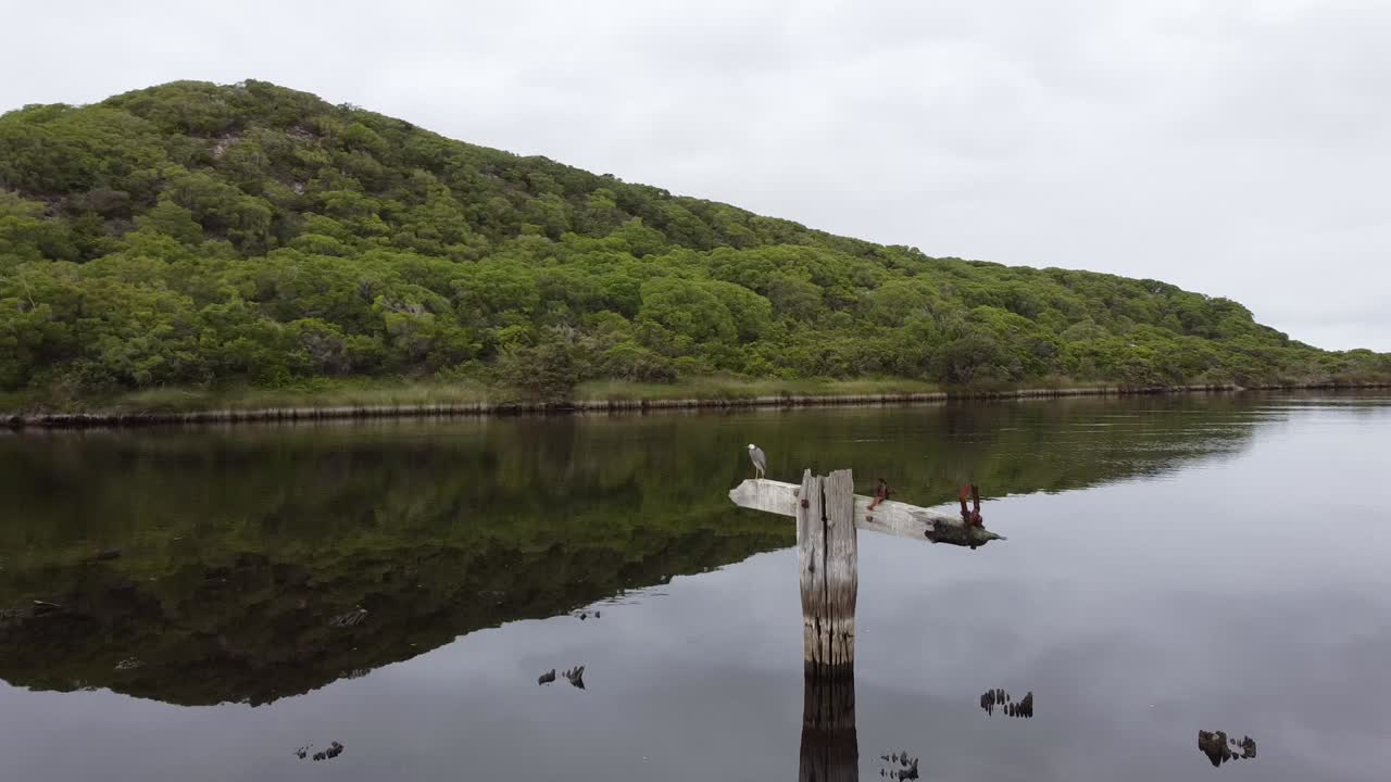 서부 호주 남부에 위치한 비밀 장소인 토베이 인렛의 야생 동물