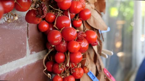 Ein-Bündel-Kirschtomaten,-Das-An-Der-Wand-Hängt