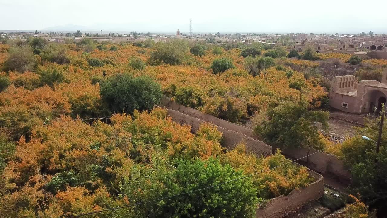 수확 시즌의 오리 정원 가을 10 월 오렌지 다채로운 잎 빨간 익은 과일 과일 정원에서 와인 지역 주민의 패턴 생활 이란의 사막 이집트 모로코 진 ⁇  벽돌 진 ⁇  집 건물