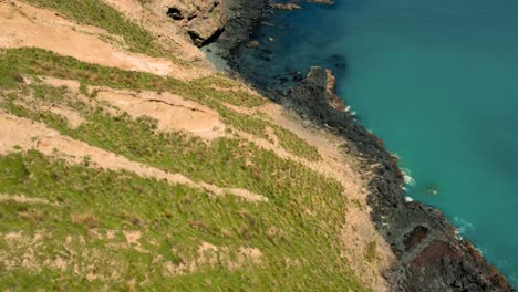 árboles, bali, mar azul, nusa penida, fotografía de drones, viajero, olas rompiendo, toma aérea, fotografía aérea, vida en la isla, asia, playa de drones, activo, de marea, caminata, retrato