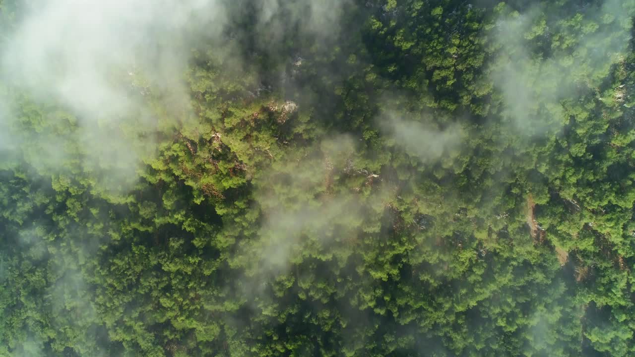 drone está volando por encima de las nubes con bosque verde debajo de él