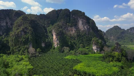 Lush-green-forest-is-covering-the-valley-floor-below-towering-limestone-mountains-in-krabi,-thailand