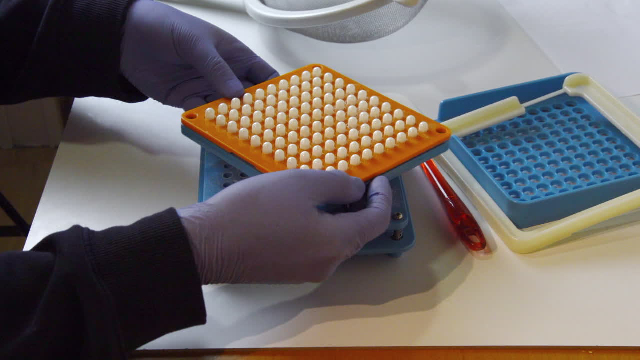 Laboratory technician with gloves manually filling capsules for supplements or medicine